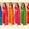 Ruchi Star Chiffon 206