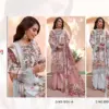 Aasha Designer Design No – 1004 Ab